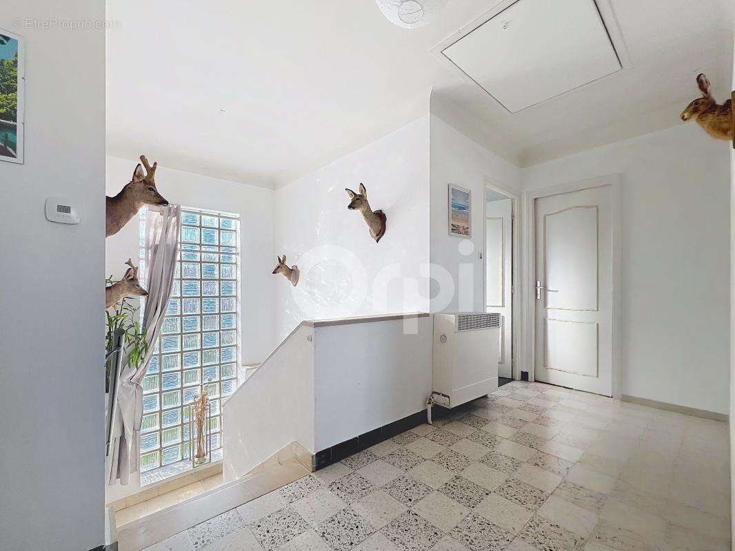 Maison à TERRASSON-LAVILLEDIEU