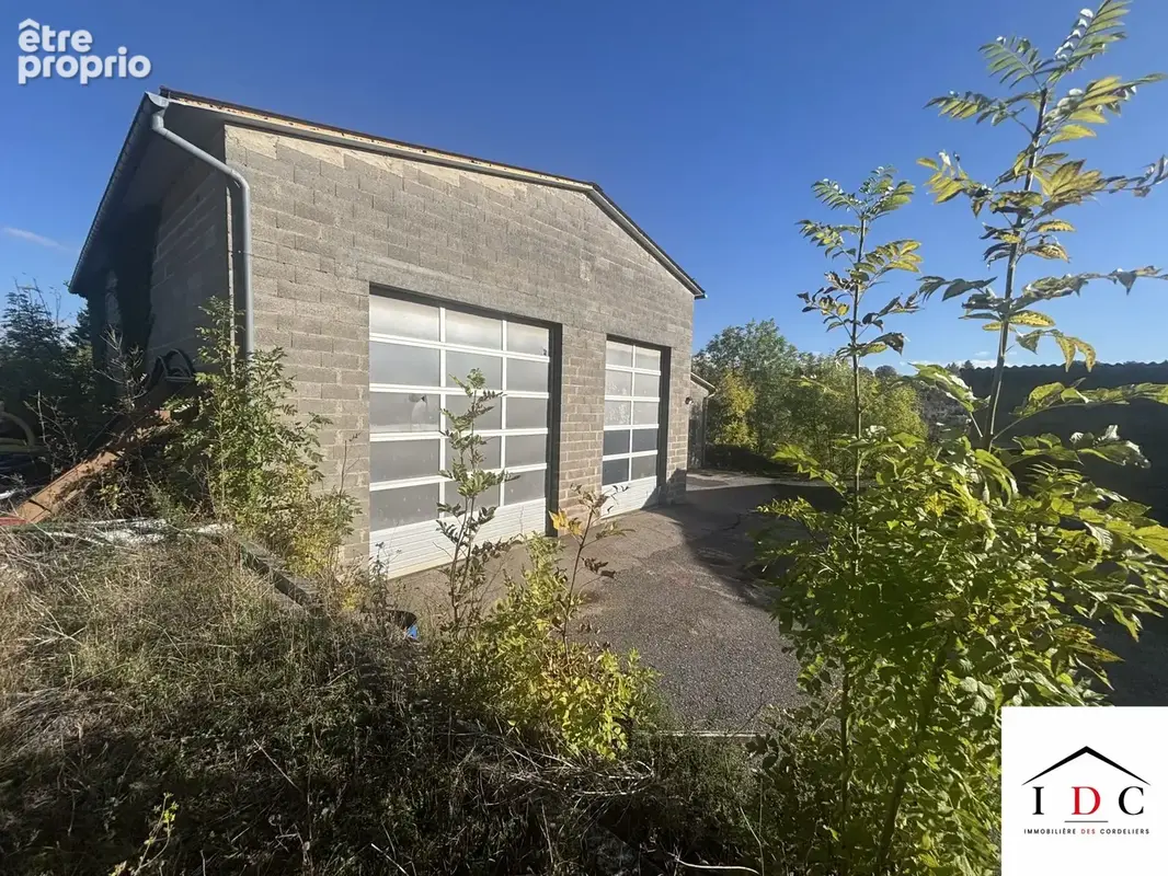 Maison 5 pièces 300 m² à vendre à Sarrebourg (57400) - photo 9