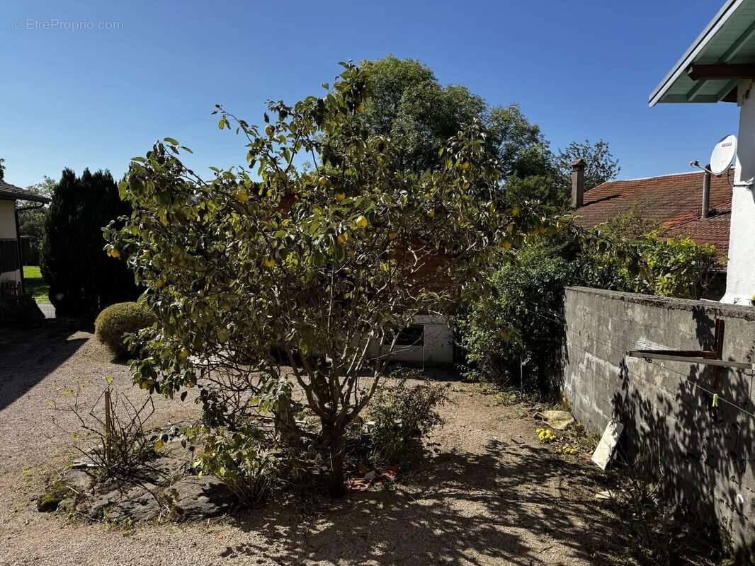 Maison à SAINT-PAUL-EN-CHABLAIS