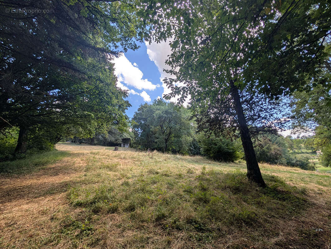 Terrain - Vienne  -16000 m2 - photo 7