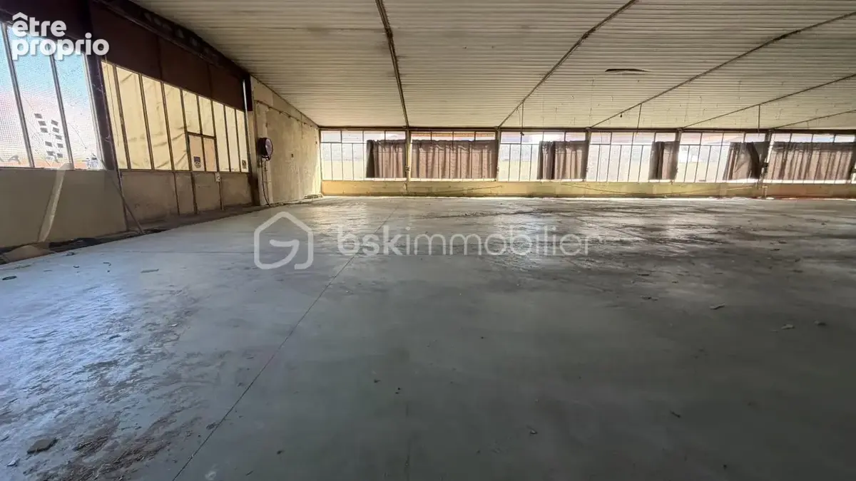 Romans sur isère - plateau 370 m² - photo 4