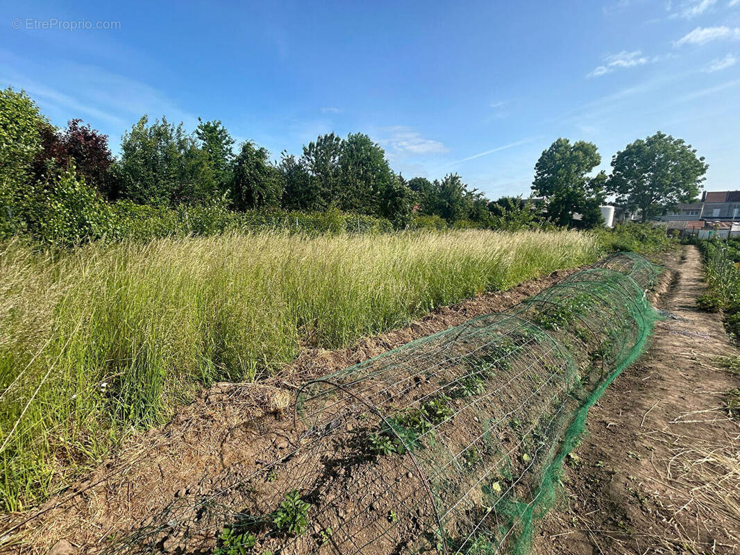 Terrain à BAPAUME