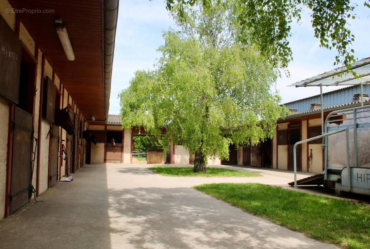 Photo 1 - Maison à LES EGLISES-D'ARGENTEUIL