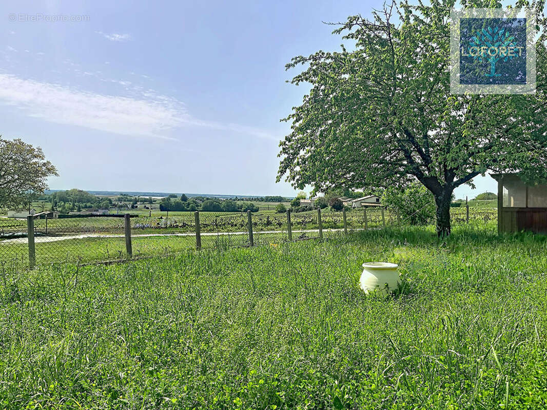Maison à la campagne avec dépendances - photo 6