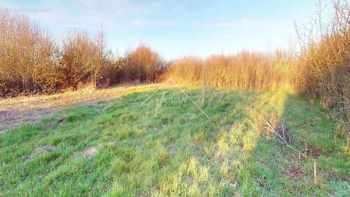 Maison à BOURBON-L'ARCHAMBAULT