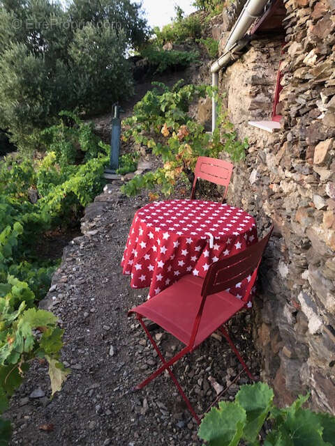 Terrain à COLLIOURE