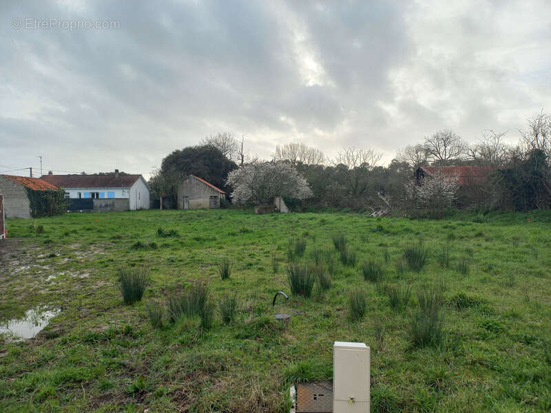 Terrain à SAINT-JEAN-DE-MONTS