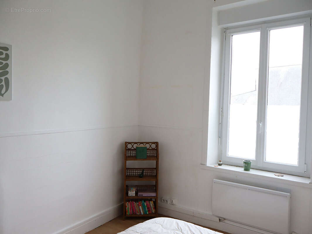 Le teilleul - photo 7