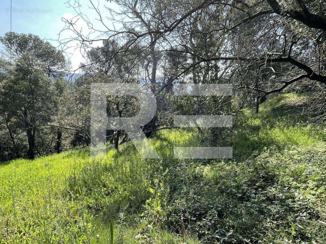 Terrain à BAGNOLS-SUR-CEZE