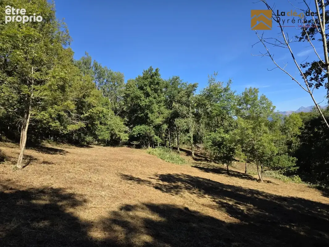 Terrain à SALLES