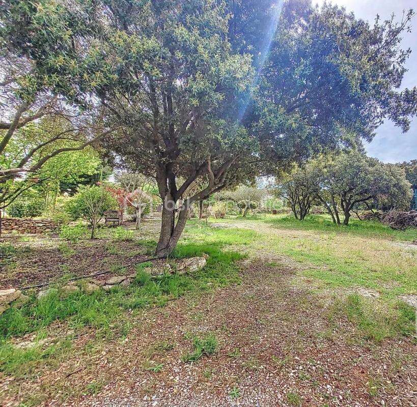 BALARUC LE VIEUX MAS SITUE DANS LE MASSIF DE LA GARDIOLE, 120 m² sur 2900 m² de terrain arboré, proche des commerces - photo 8
