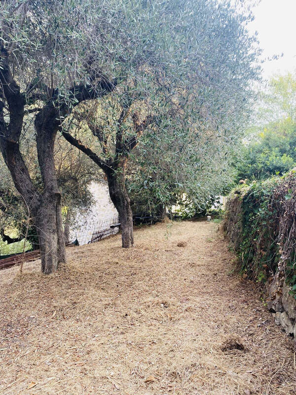 Maison individuelle 106 m2   Drap (06340) - photo 18