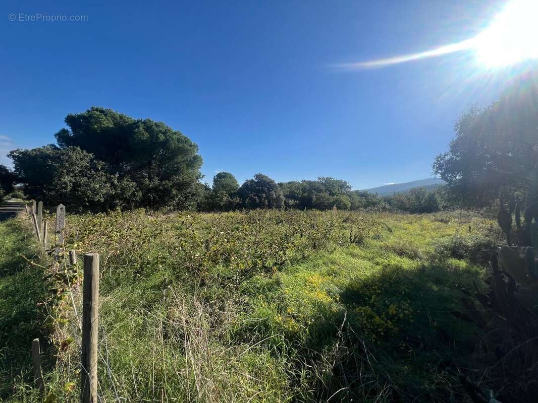 Terrain à ARGELES-SUR-MER