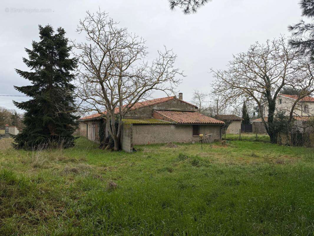 Maison à MURET