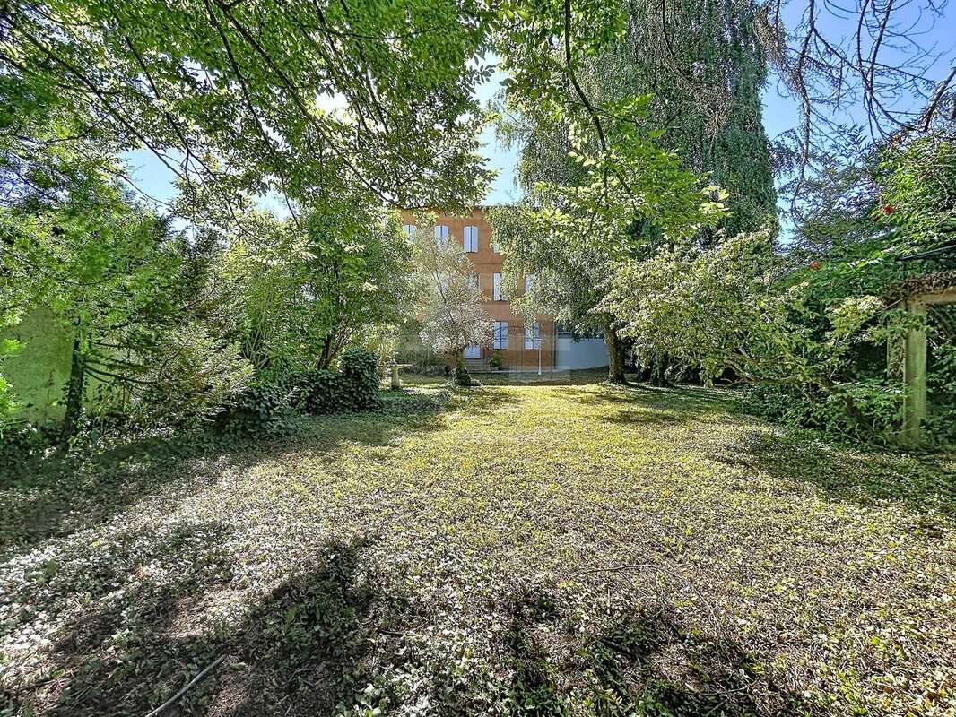 Charmante maison de ville dans le Tarn - photo 2