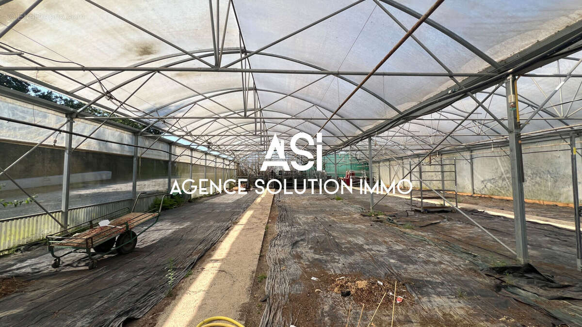 Terrain à LA FERTE-MACE