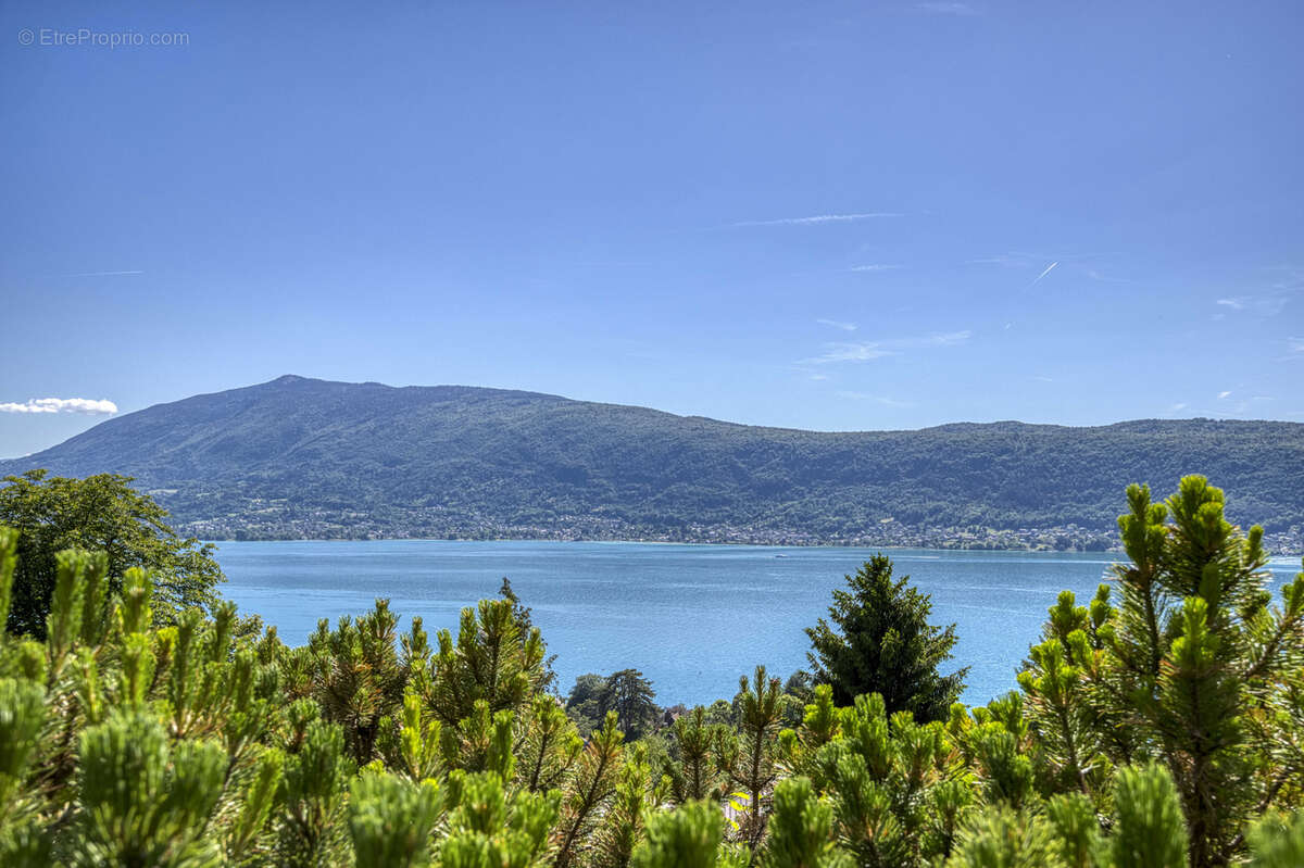 Villa d'exception dominant le lac - photo 78