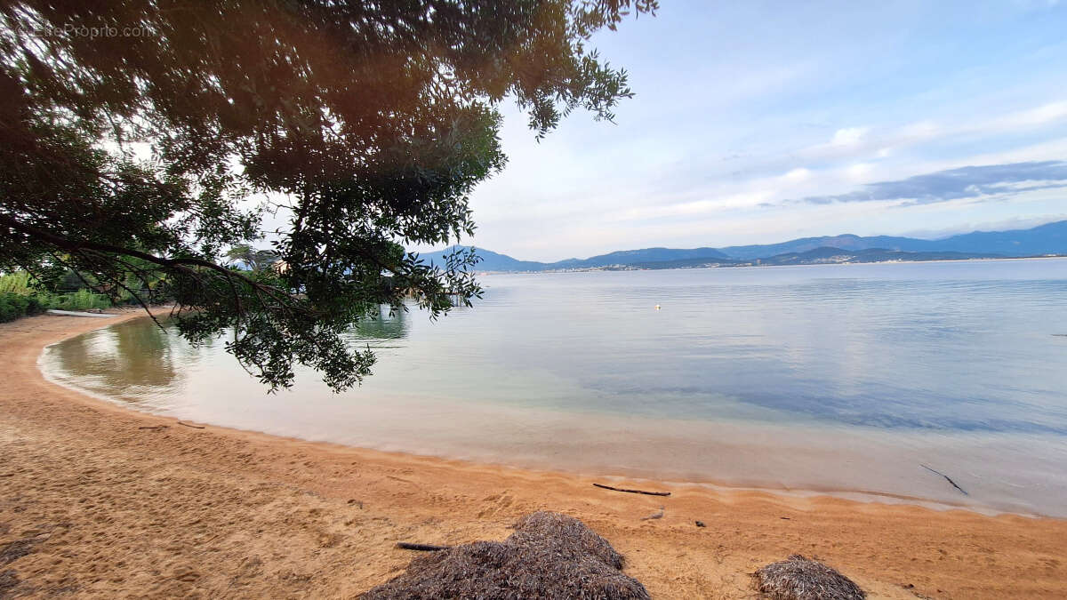 Maison à PIETROSELLA