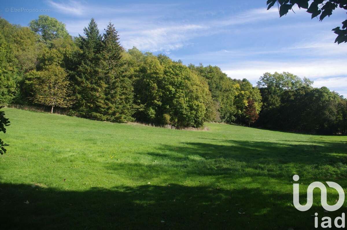 Maison 250 m² à Celle  - photo 8
