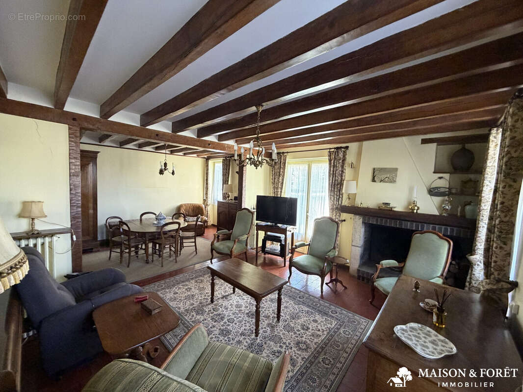 Maison à OUZOUER-SUR-TREZEE