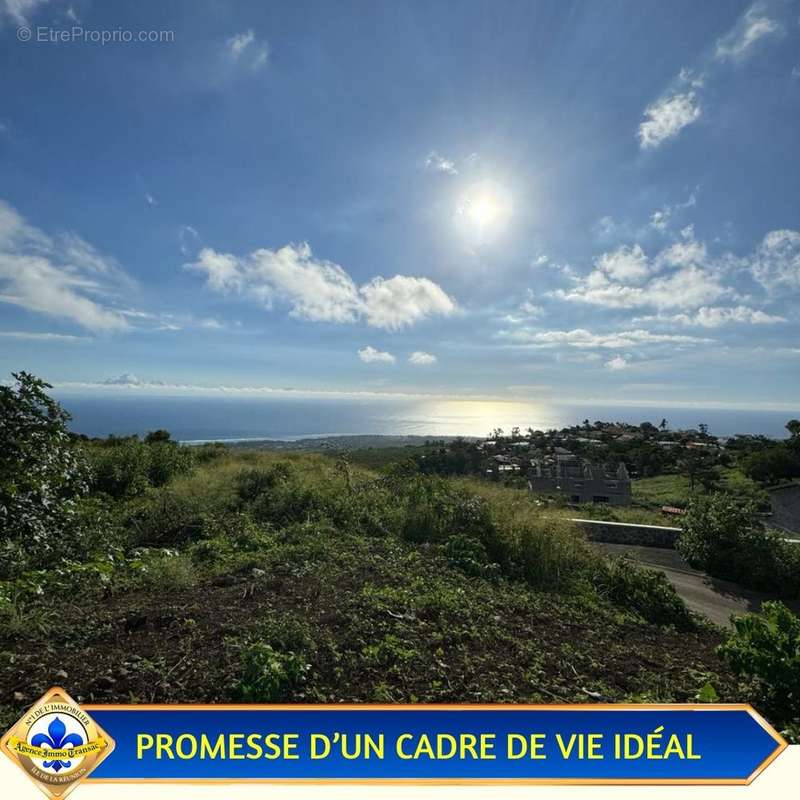 Terrain à SAINT-PAUL