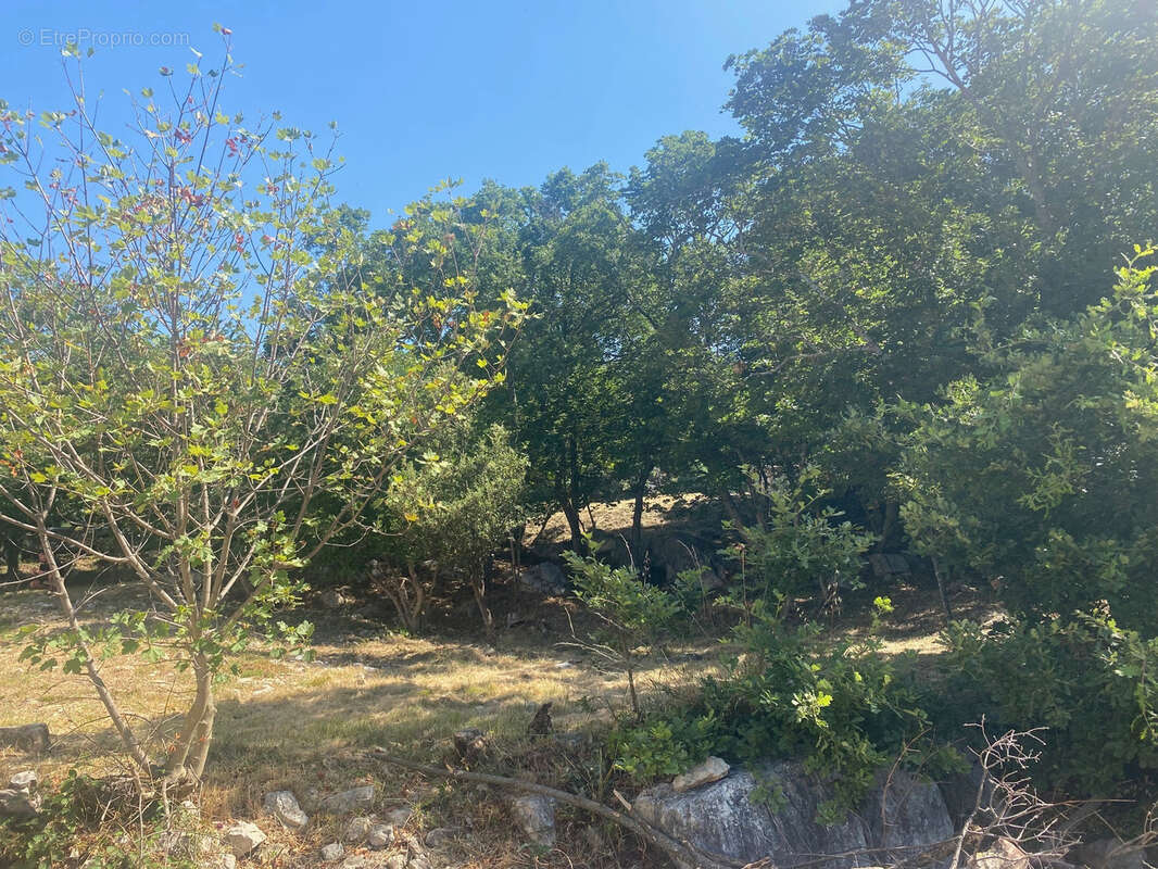 Terrain à SAINT-VALLIER-DE-THIEY