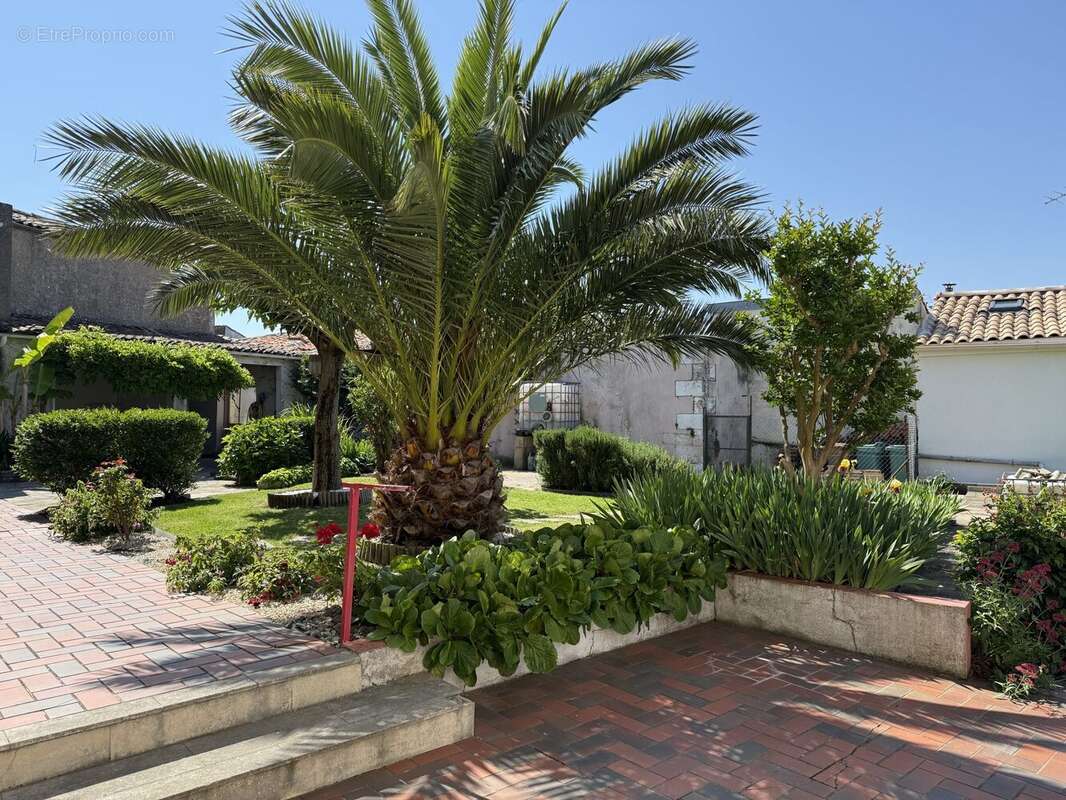 Maison à MORTAGNE-SUR-GIRONDE