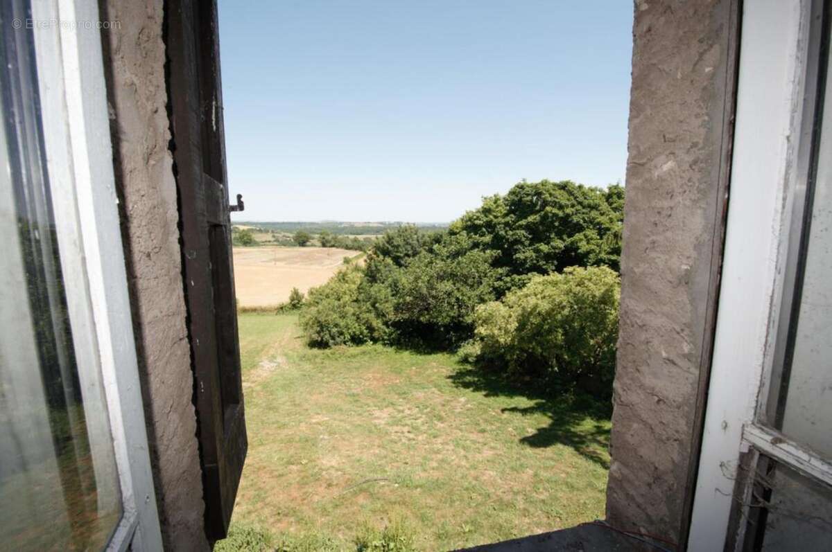 Maison 265 m² à Albi  - photo 3