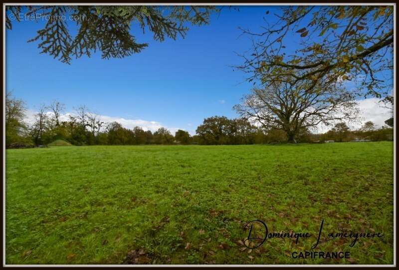 Terrain à PEYREHORADE