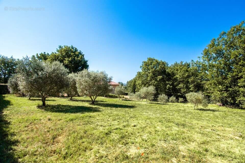 Terrain à BRUE-AURIAC