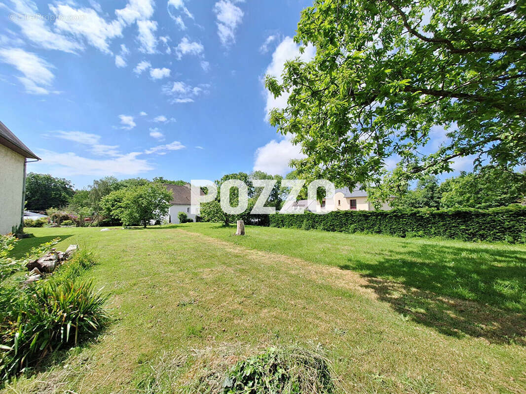 Terrain à SAINT-PLANCHERS