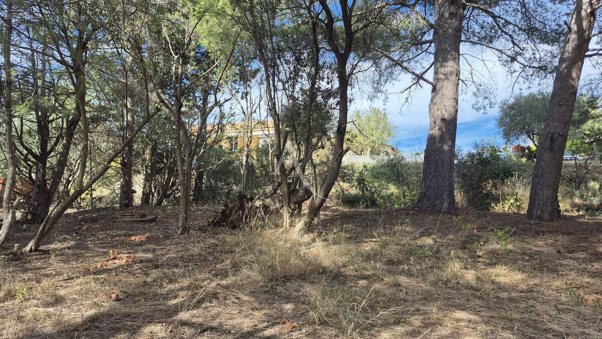 Terrain à OUVEILLAN