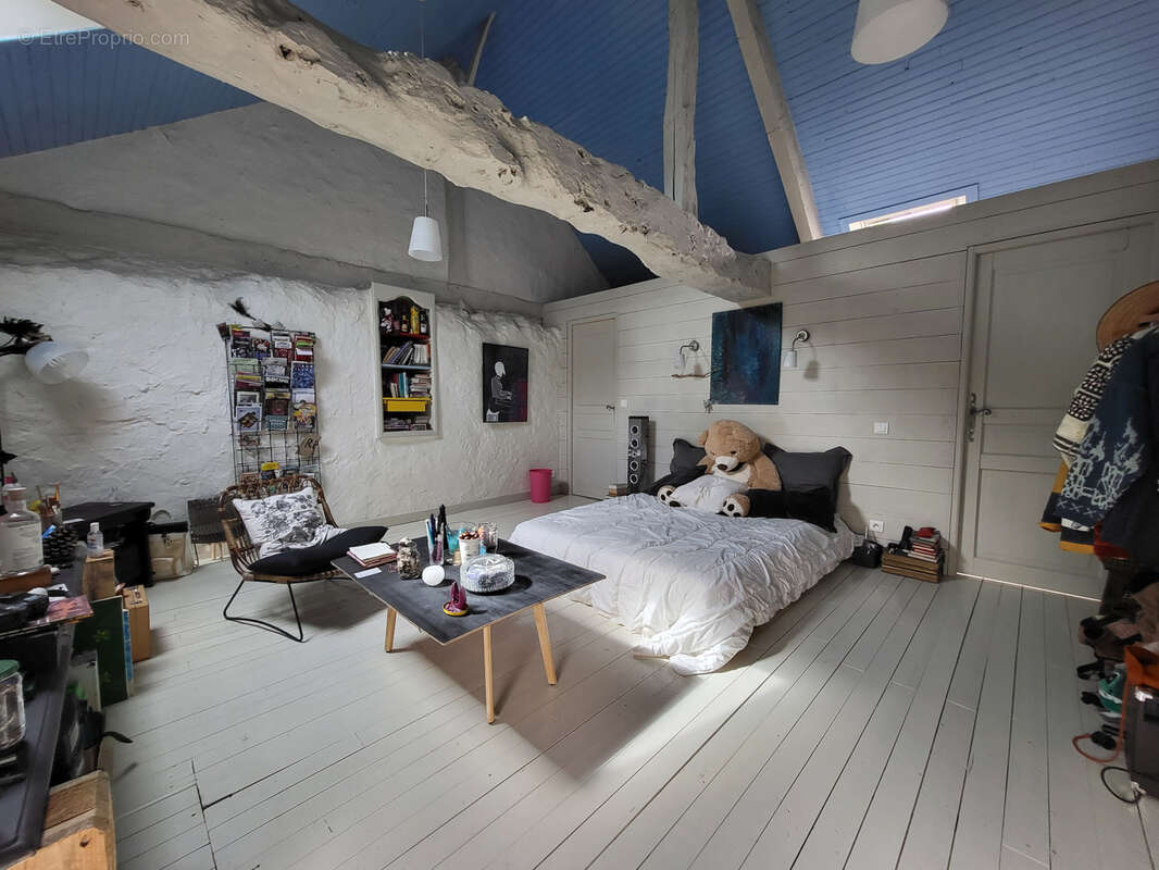 Longère 7 pièces de 260m2 - photo 6