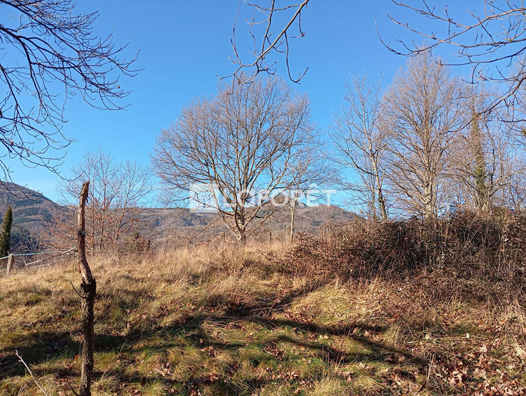 Terrain à PRATS-DE-MOLLO-LA-PRESTE