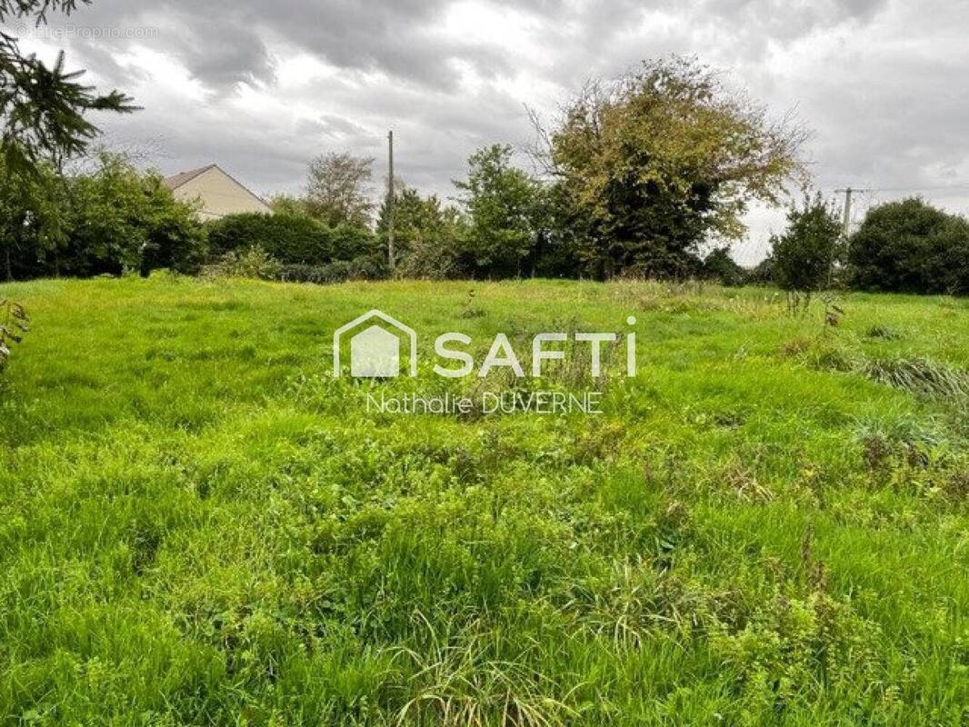 Photo 1 - Terrain à BOISSY-LA-RIVIERE