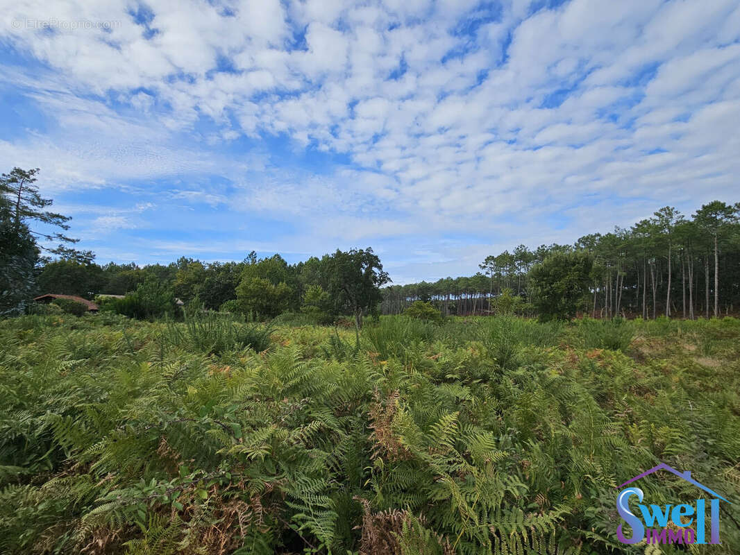 Terrain à MOLIETS-ET-MAA