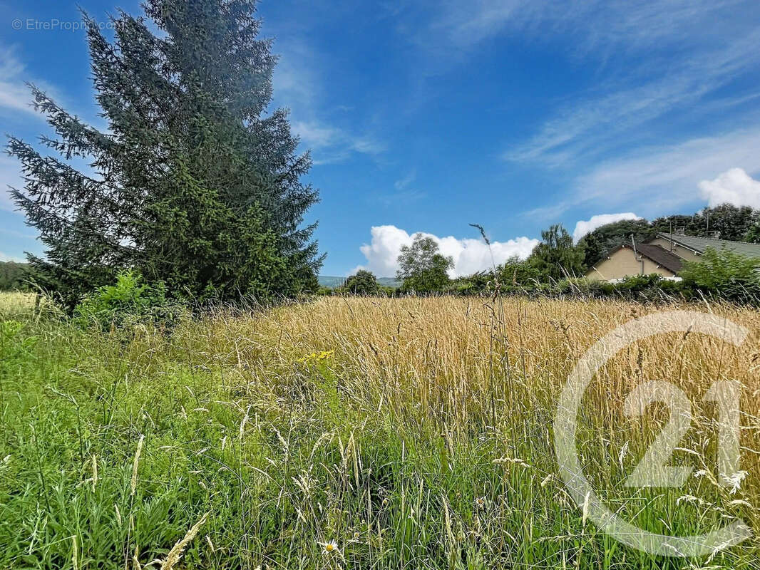 Terrain 2281 m² à Villeneuve-Sur-Yonne  - photo 2