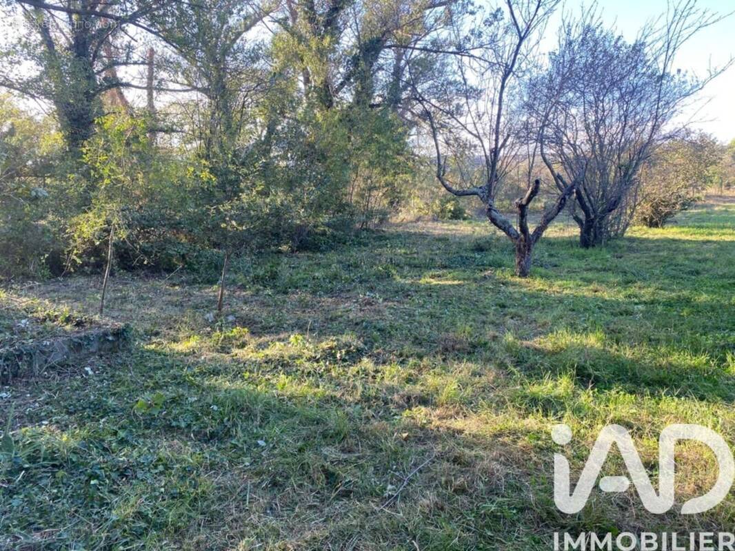 Photo 1 - Terrain à SAINT-JEAN-PLA-DE-CORTS