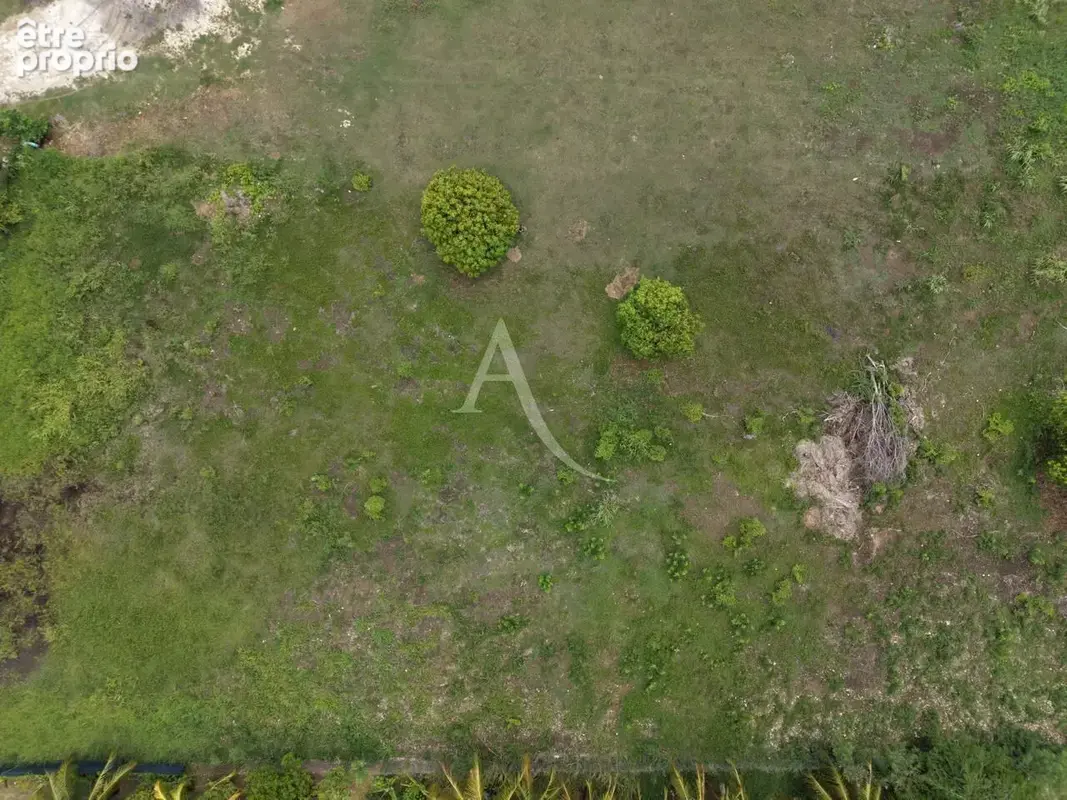 Rare sur le secteur : Parcelle d'exception de 4 000 m² pour grand projet - photo 4