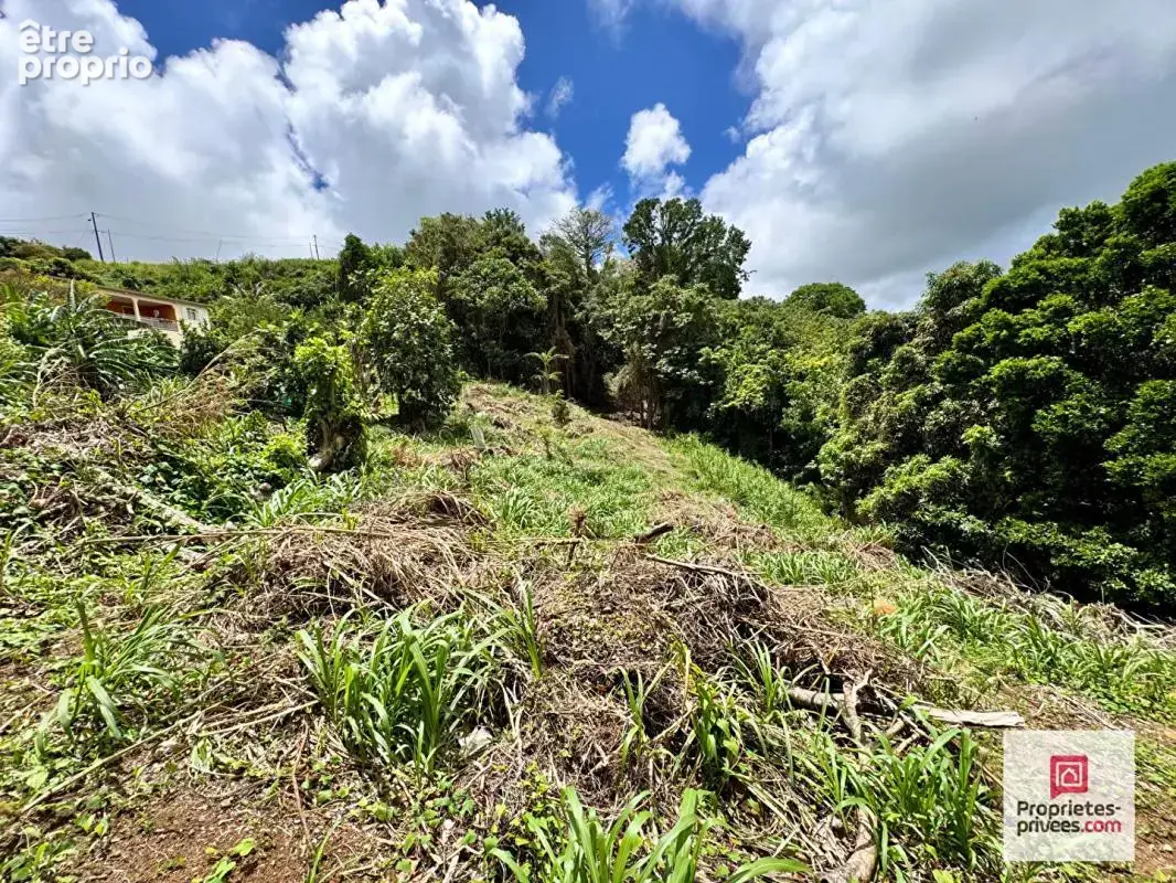 Nouveauté - ensemble foncier constructible 5 730 m² - vue mer - sainte-luce - photo 2