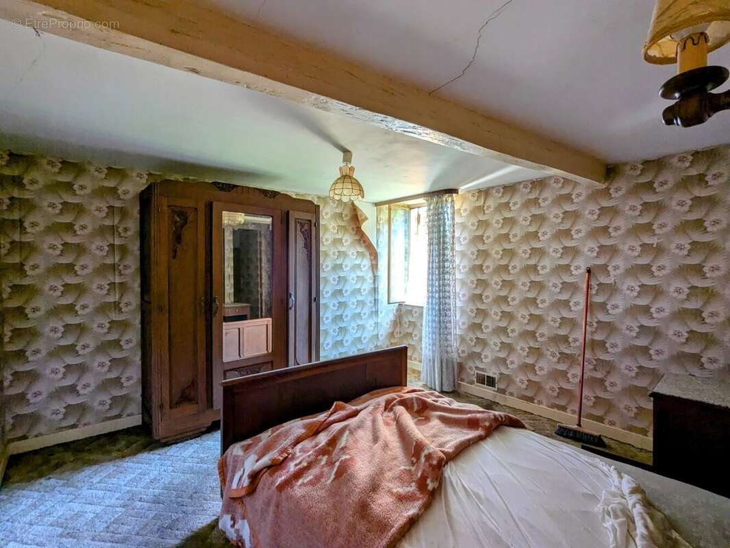 Maison à SAINT-MAURICE-DE-SATONNAY