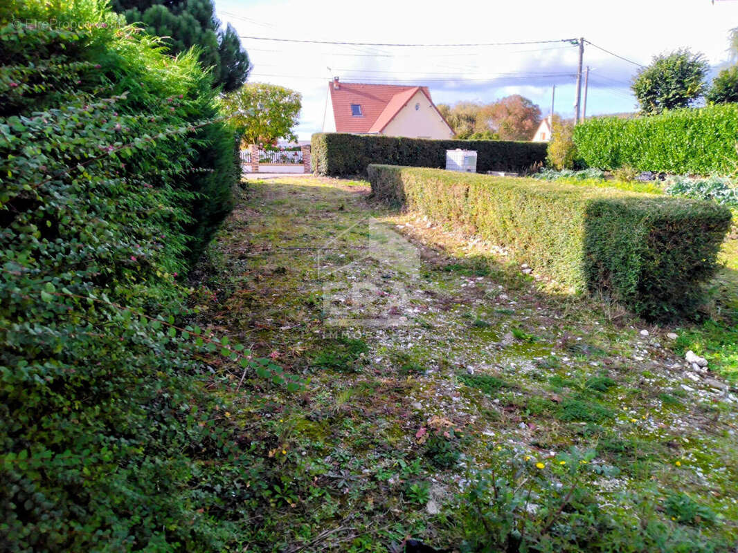 Terrain à BELLENGREVILLE