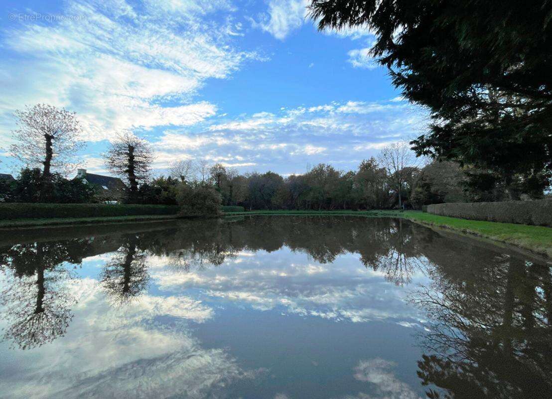 Terrain de loisir avec 2 étangs 8950 m2 - photo 5