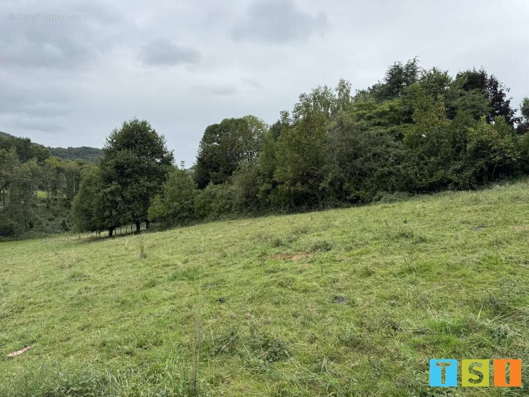 Terrain à ESTADENS