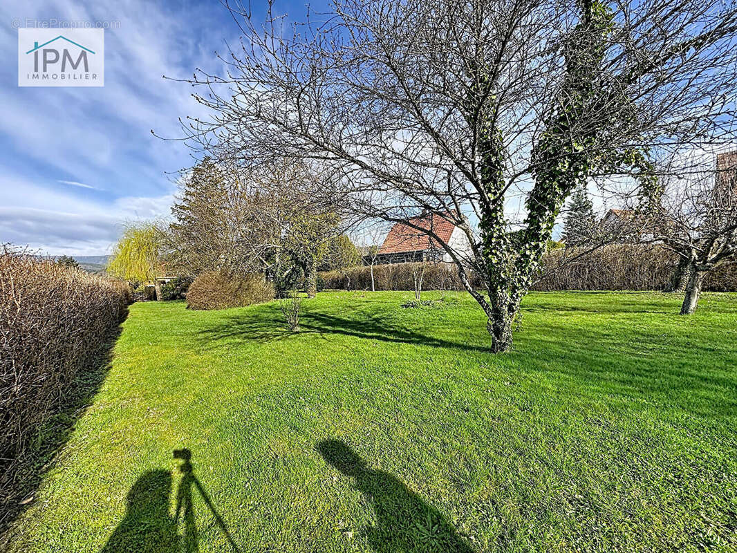 Terrain à NIEDERHASLACH