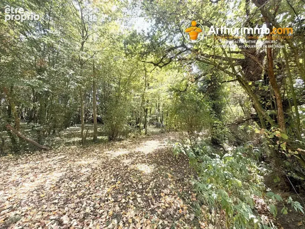 Longère en pierre sur plus d'un hectare - photo 12
