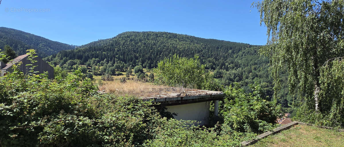 Natzwiller, exceptionnel, terrain à bâtir sur les hauteurs : projet de construction « Prêt à démarrer » avec v - photo 14