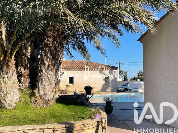 Photo 4 - Maison à MARSEILLAN