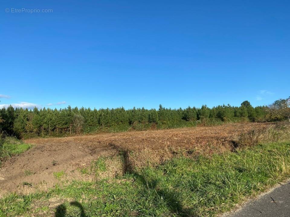 Terrain à AUROS