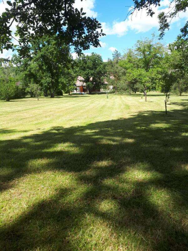 Terrain à MOUSSEAUX-SUR-SEINE